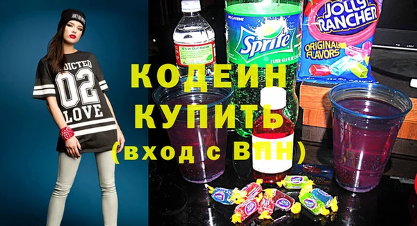 таблы Гусев