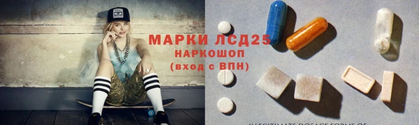 ГАЛЛЮЦИНОГЕННЫЕ ГРИБЫ Вязьма