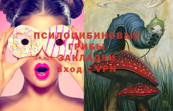 МДПВ Волоколамск